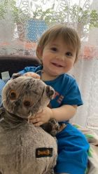 Февраль, фотография индивидуалки